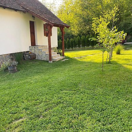 Rudnicki Eko Breg Villa Rudnik Exteriör bild