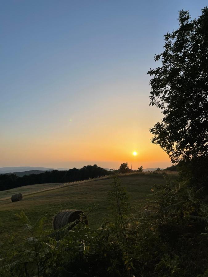Rudnicki Eko Breg Villa Rudnik Exteriör bild