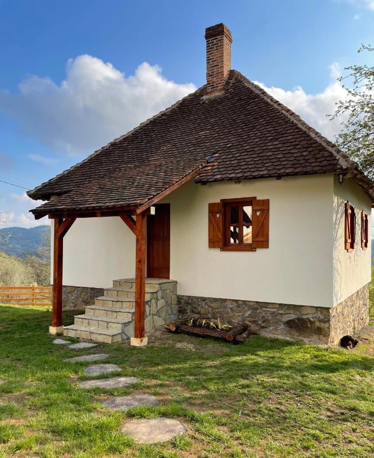 Rudnicki Eko Breg Villa Rudnik Exteriör bild