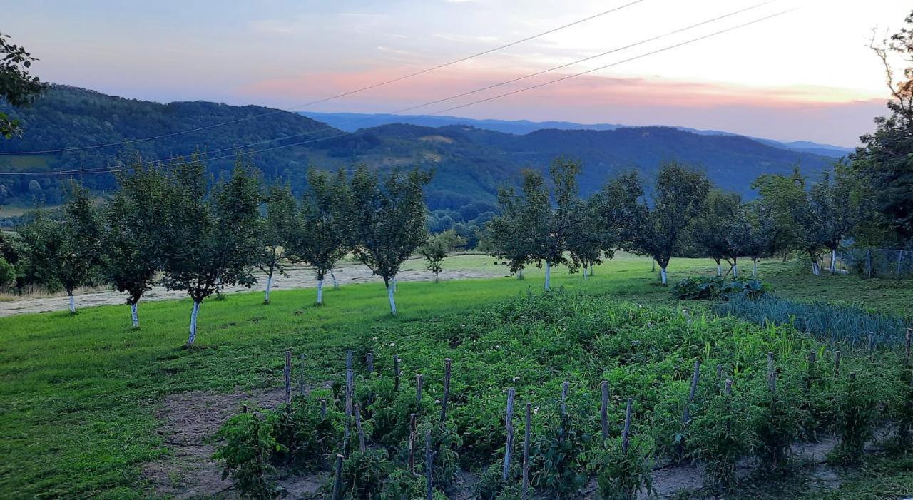 Rudnicki Eko Breg Villa Rudnik Exteriör bild