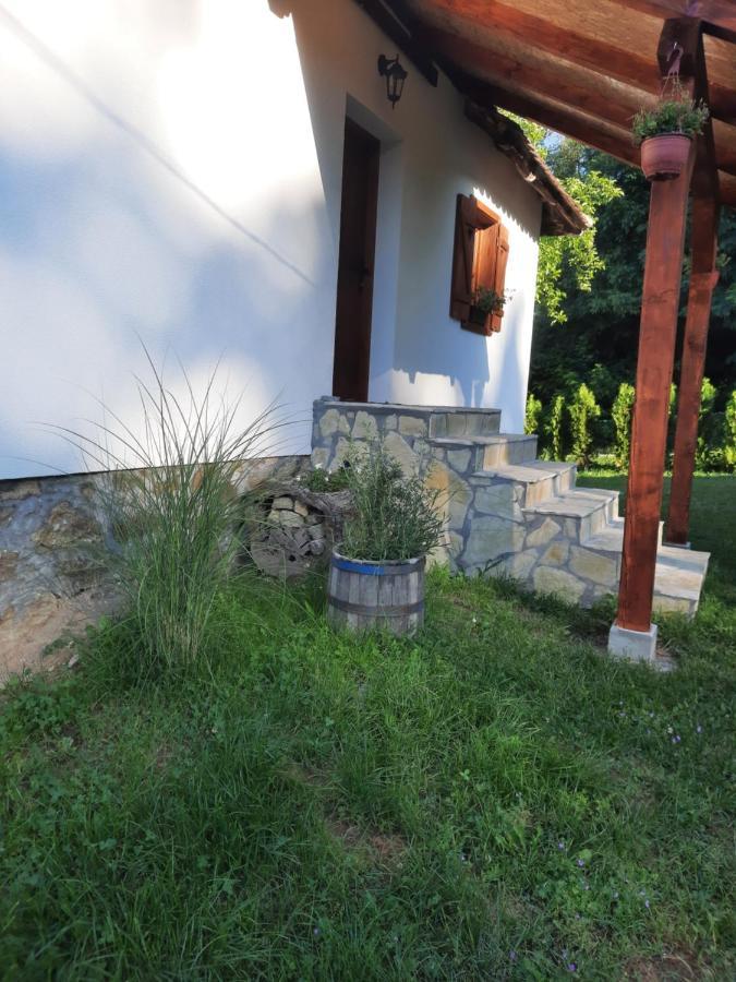 Rudnicki Eko Breg Villa Rudnik Exteriör bild