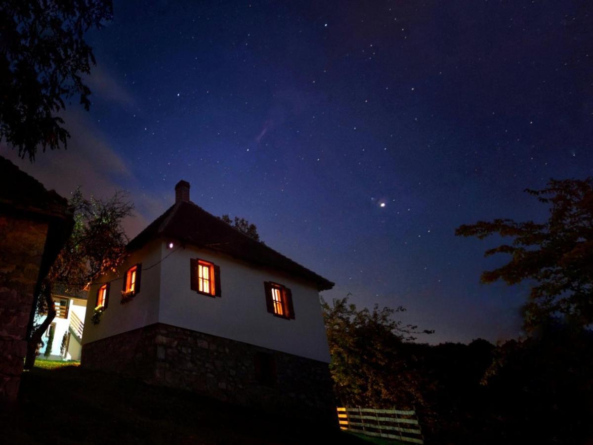 Rudnicki Eko Breg Villa Rudnik Exteriör bild