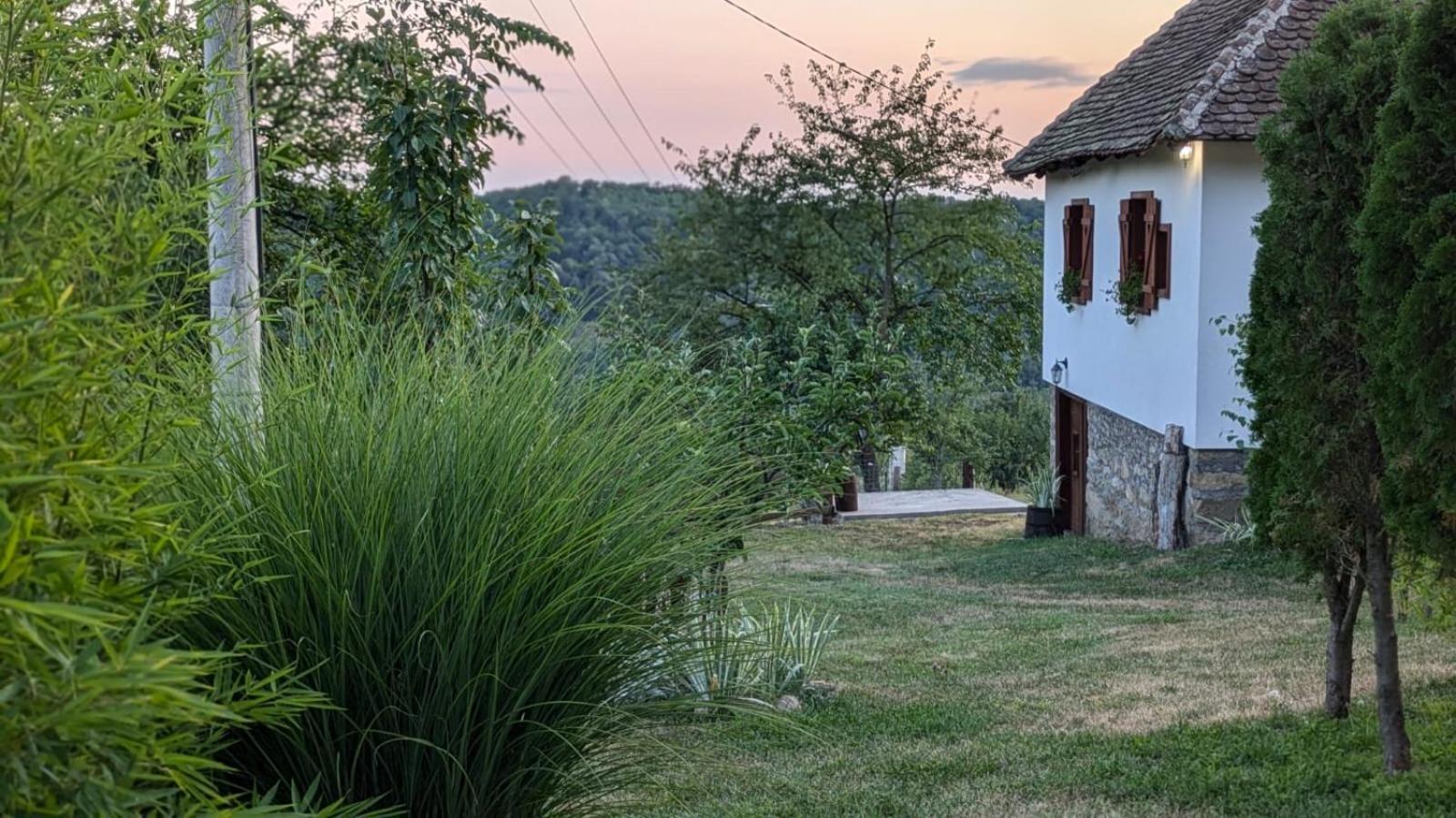 Rudnicki Eko Breg Villa Rudnik Exteriör bild