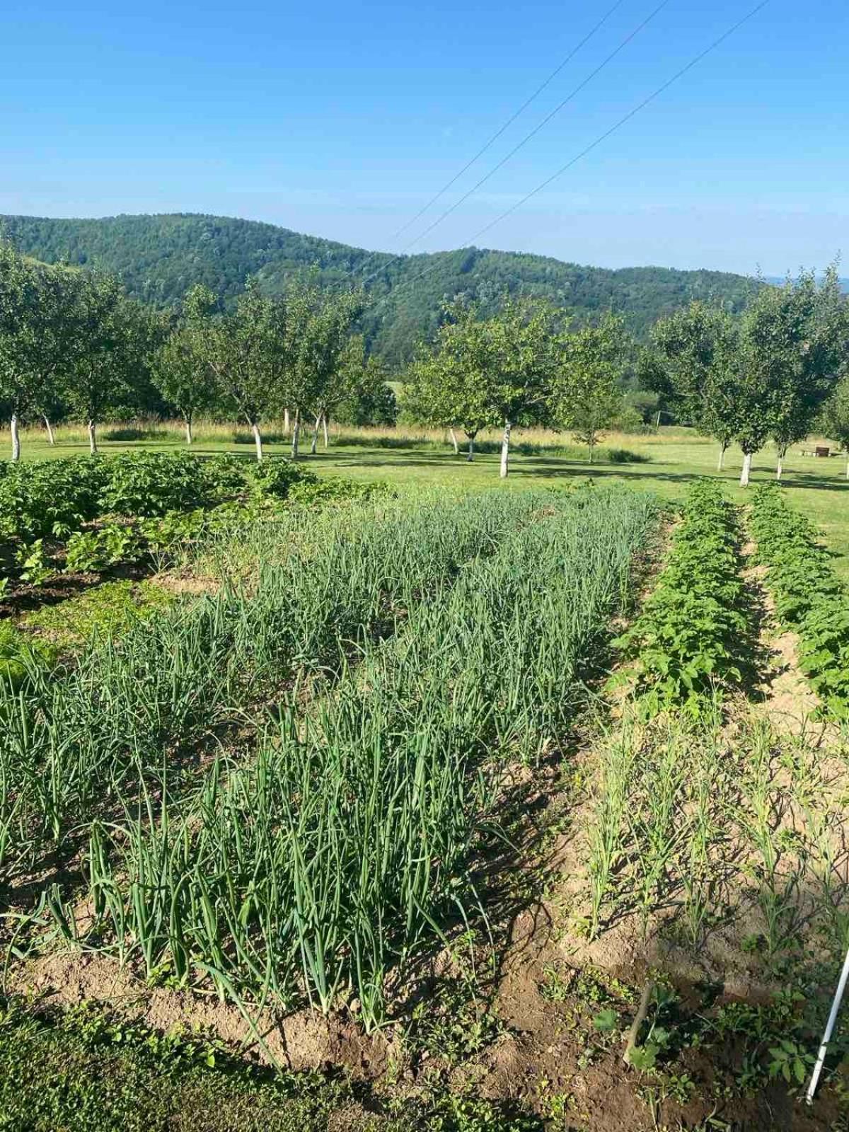 Rudnicki Eko Breg Villa Rudnik Exteriör bild